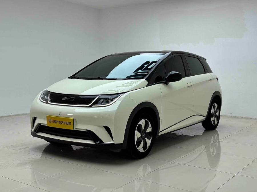 BYD DELPHIN, 2024